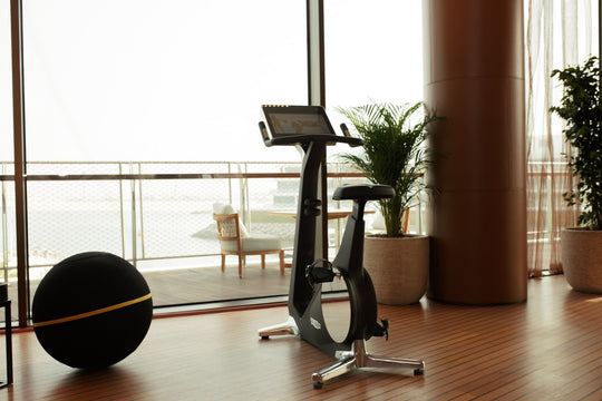 Technogym Exercise Bikes Technogym Bike Personal