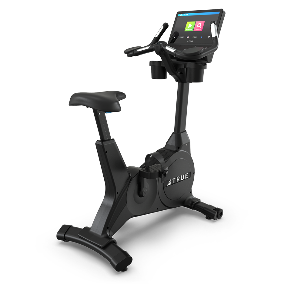 TRUE Fitness Upright Bike Gravity Upright Bike