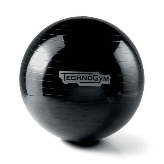 Technogym Yoga 65cm (Black) Wellness Ball Home