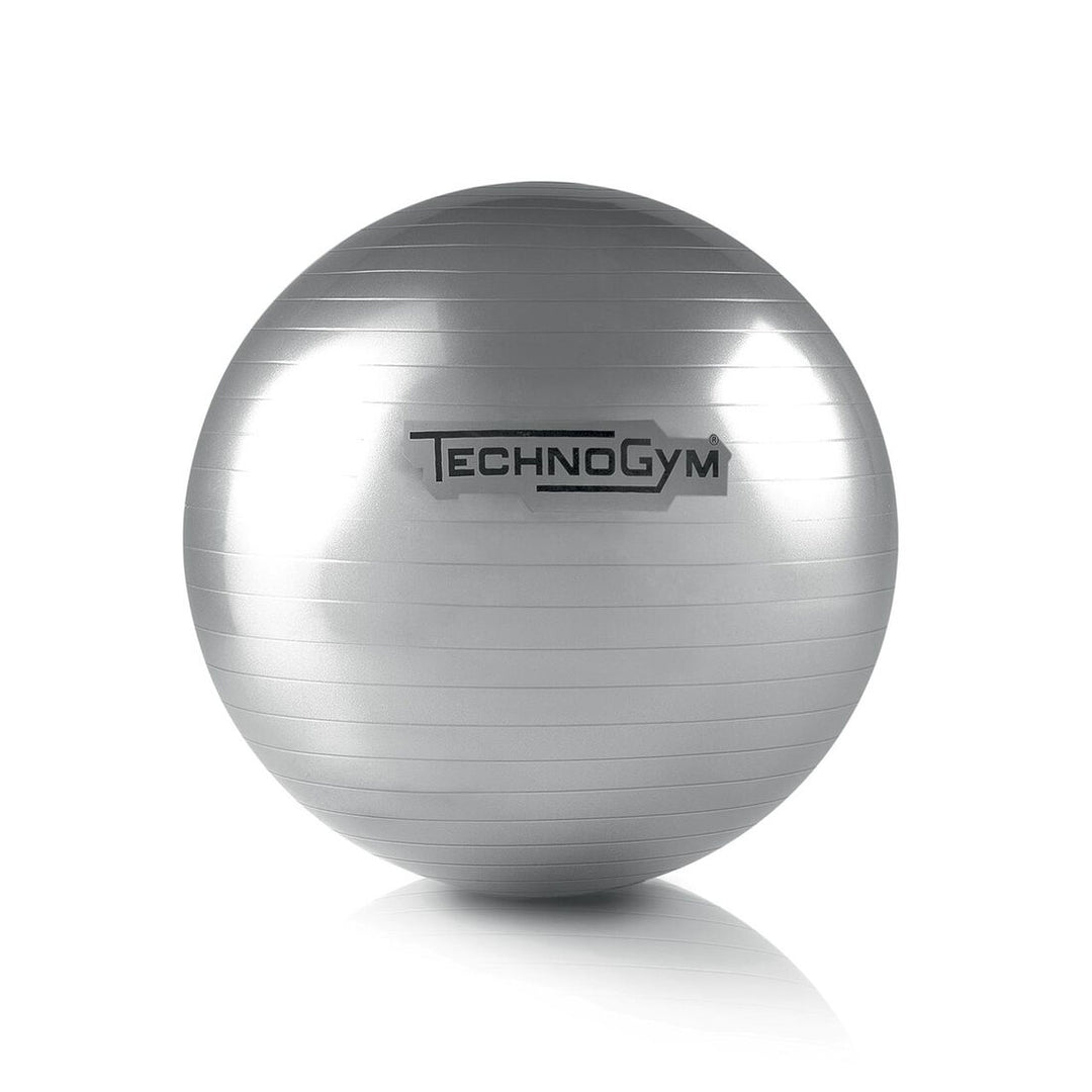 Technogym Yoga 55cm (Grey) Wellness Ball Home