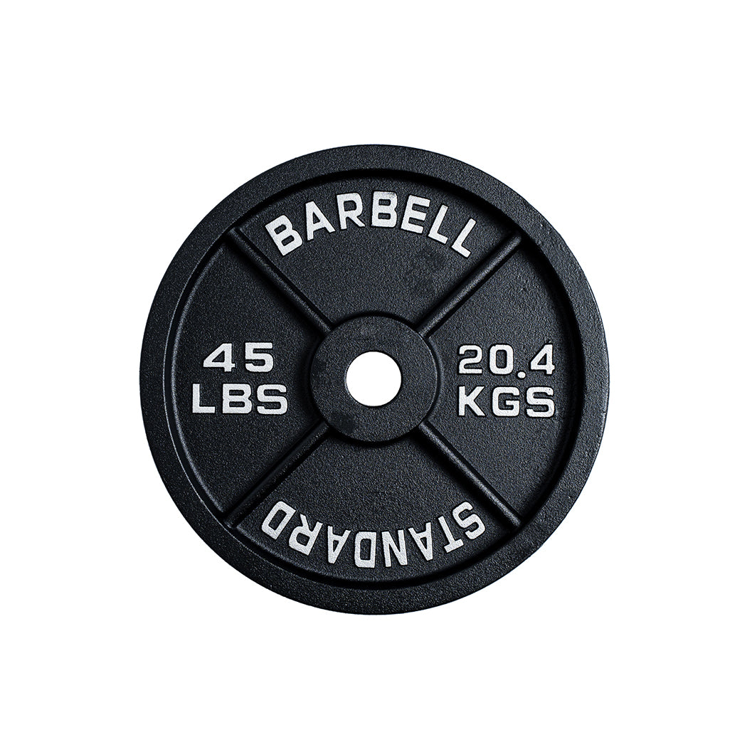 Northern Fitness Supply Plate 300 lb Cast Iron Olympic Plate + Barbell