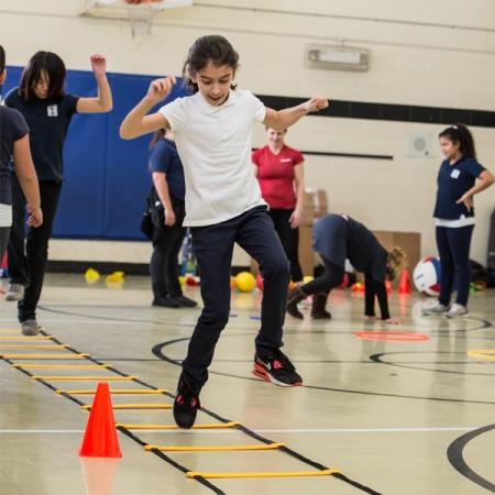 Concorde Speed & Agility Concorde Agility Ladder