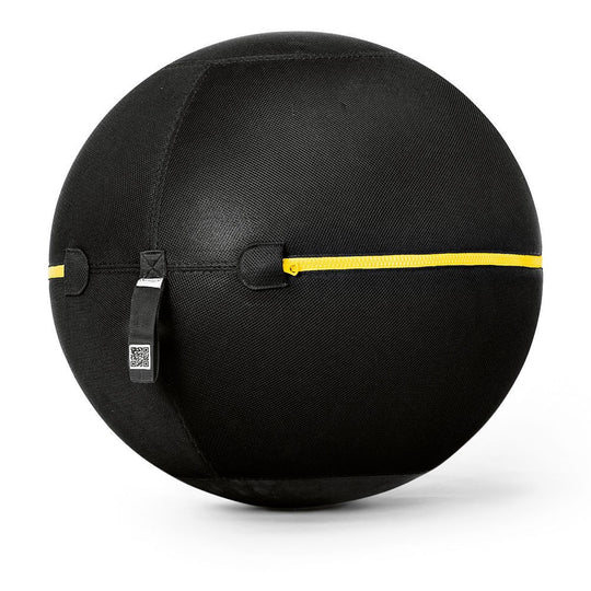 TechnoGym Wellness Ball